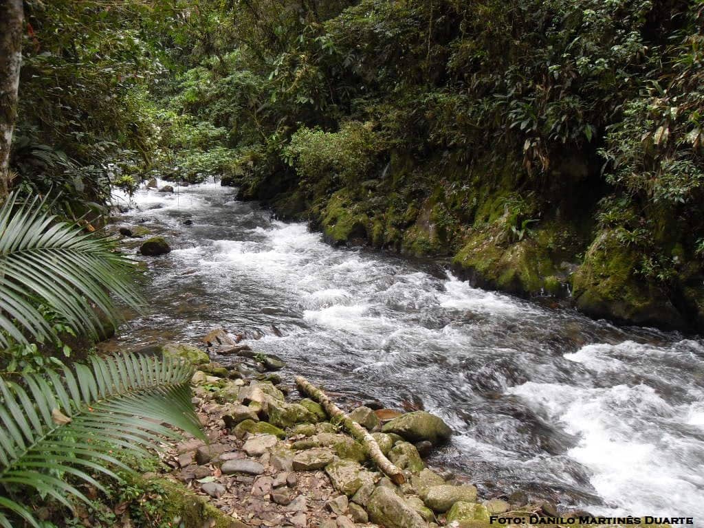 Boia-cross no Rio Betari, descida pelo rio com boias no PETAR